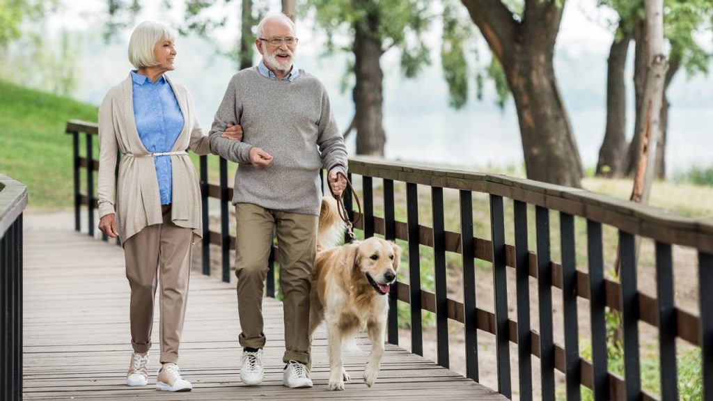 Caminhar entre 3.000 e 7.000 passos por dia protege o cérebro