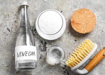 Como usar o vinagre para limpar, desinfetar e eliminar odores de forma natural