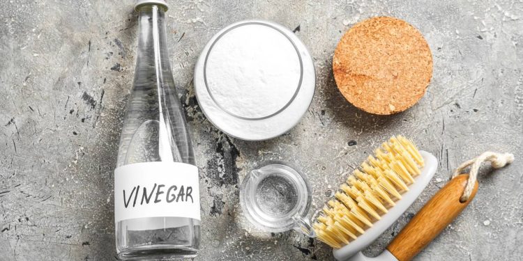 Como usar o vinagre para limpar, desinfetar e eliminar odores de forma natural
