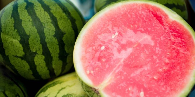 Aumente sua colheita de melancias com estas dicas práticas e cuidados essenciais