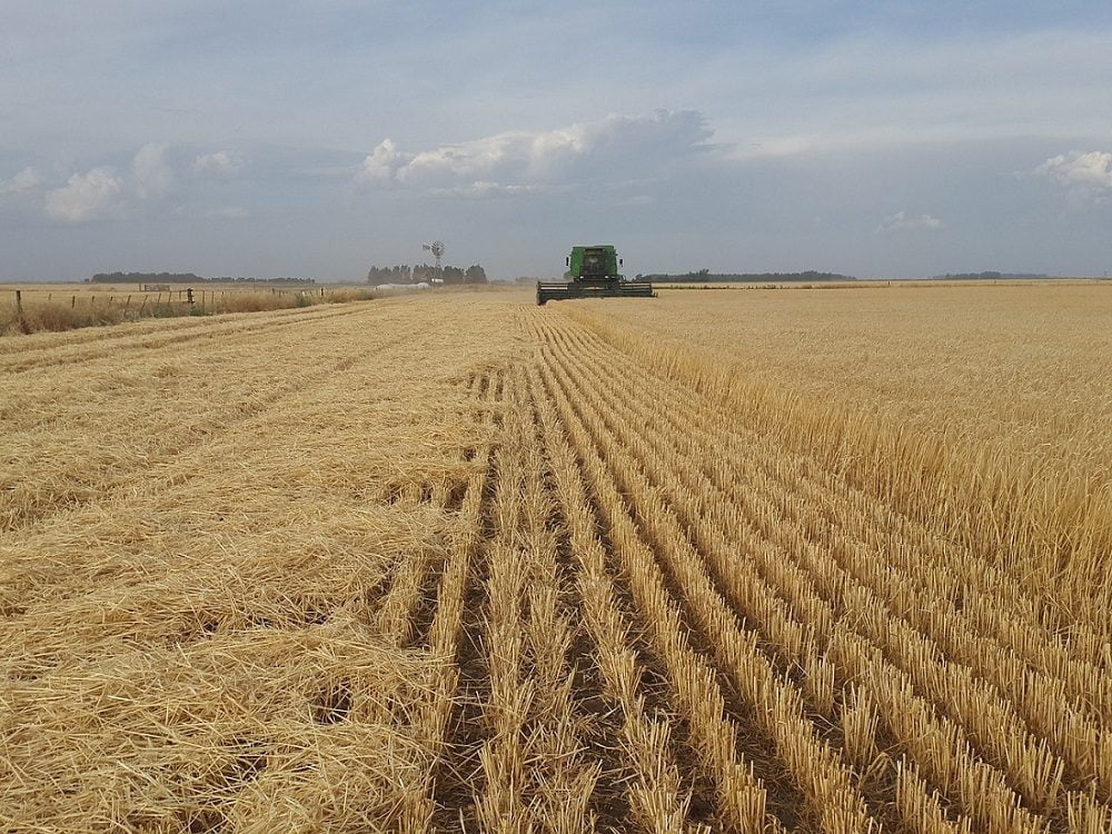 BTG planeja investir mais R$ 350 milhГѓВµes no agronegГѓВіcio