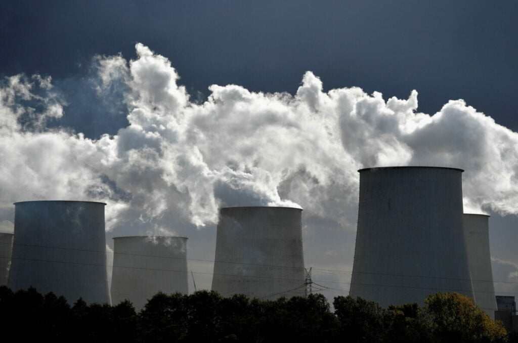 Carbono entre US$12 e US$13 pode apoiar regeneraГѓВ§ГѓВЈo florestal, diz presidente da Suzano
