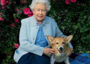 Rainha Elizabeth II ao lado de seu cachorro. Foto: ReproduГѓВ§ГѓВЈo, Redes Sociais