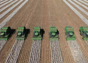 ProduГѓВ§ГѓВЈo SLC AgrГѓВ­cola Foto: ReproduГѓВ§ГѓВЈo, DivulgaГѓВ§ГѓВЈo