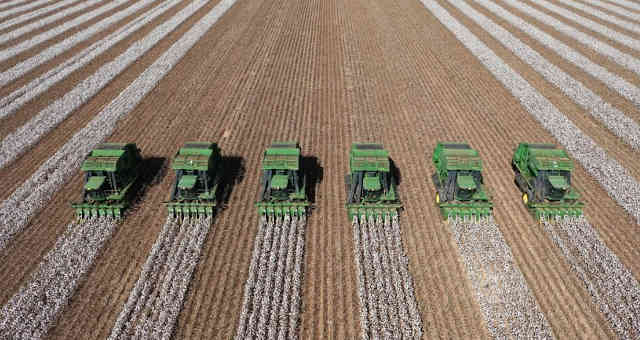 Produção SLC Agrícola Foto: Reprodução, Divulgação