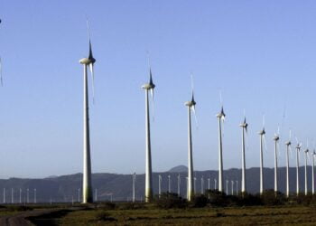 Cop 27
