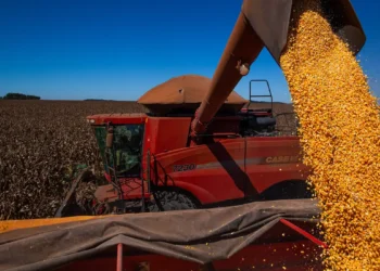 AgronegГѓВіcio / Foto: AgГѓВЄncia Brasil