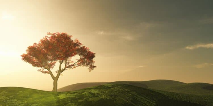 arvore-bonita-no-campo-paz-paisagem