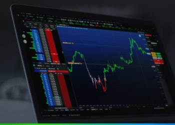 nelogica investir bolsa alta