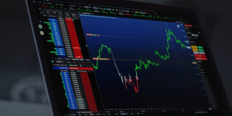 nelogica investir bolsa alta