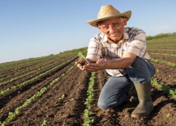 Aposentadoria Rural: Guia Completo sobre Direitos e Procedimentos para ObtenГѓВ§ГѓВЈo