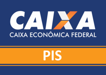Quem Tem Direito ao PIS/Pasep: Consulte Agora o Abono Salarial