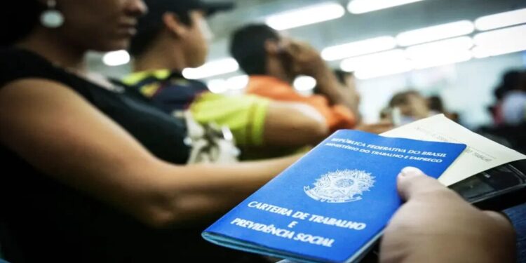 Entenda TUDO sobre o Seguro-Desemprego e como consultar ONLINE!