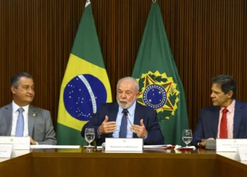 Fogo amigo: farinha pouca, meu pirГѓВЈo primeiro