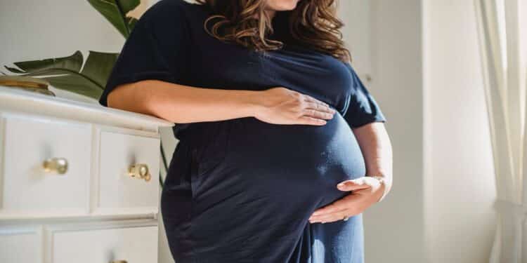 LicenГѓВ§a-Maternidade para MEI: ConheГѓВ§a Seus Direitos e Como Solicitar
