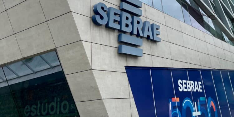 CrГѓВ©dito Consciente do Sebrae: Impulsionando Micro e Pequenas Empresas!