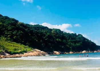 Emita online seu CarnГѓВЄ de IPTU 2024 e economize! Saiba Mais