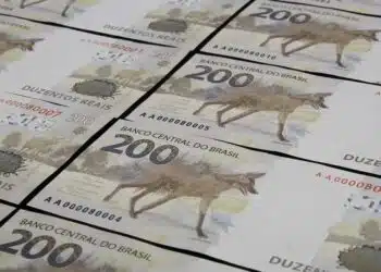 Ex-Diretor do BC Revela 4 Motivos para Acreditar na ValorizaГѓВ§ГѓВЈo do Real em 2024