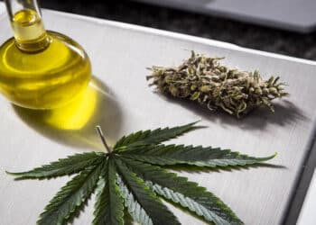 SP fornece de Medicamentos ГѓВ  base de Maconha pelo SUS; como receber?