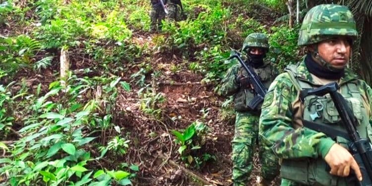 Estado de EmergГѓВЄncia: Fronteira de Peru com Equador ReforГѓВ§a SeguranГѓВ§a