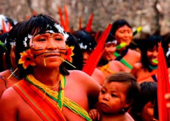 MinistГѓВ©rio da Defesa se Recusa a Fornecer Aeronaves para Ajudar Povo Yanomami