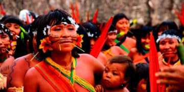 MinistГѓВ©rio da Defesa se Recusa a Fornecer Aeronaves para Ajudar Povo Yanomami