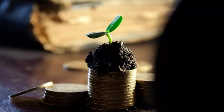 24 Empresas da Bolsa Brasileira Preparam DistribuiГѓВ§ГѓВЈo de Proventos aos Acionistas