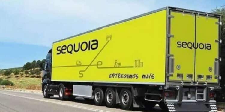 "Sequoia (SEQL3) terГѓВЎ altas importantes", diz especialista apГѓВіs aГѓВ§ГѓВµes subirem mais de 100% em um dia