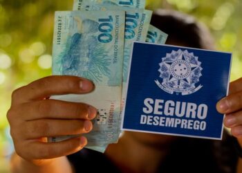 Garanta Seu Direito: Entenda Como Funciona o Seguro-Desemprego no Brasil!