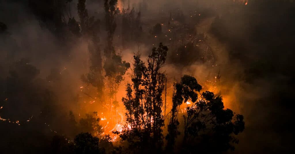 Incêndios florestais no Chile deixam mais de 100 mortos e desencadeiam alerta climático