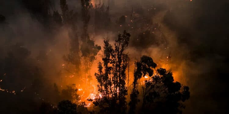 IncГѓВЄndios florestais no Chile deixam mais de 100 mortos e desencadeiam alerta climГѓВЎtico