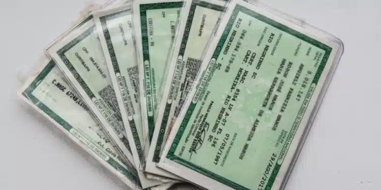 ModernizaГѓВ§ГѓВЈo do RG traz BenefГѓВ­cios InГѓВ©ditos para Idosos no Brasil!