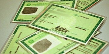 RG-Brasil: ConheГѓВ§a a Nova Identidade Segura e PrГѓВЎtica Para Idosos