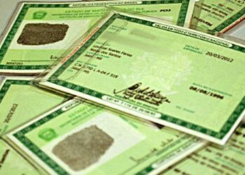 Descubra tudo sobre o Novo RG-Brasil: Mais SeguranГѓВ§a e Praticidade para Idosos!