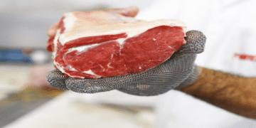 Novo AuxГѓВ­lio do Bolsa FamГѓВ­lia: ConheГѓВ§a o Vale Carne