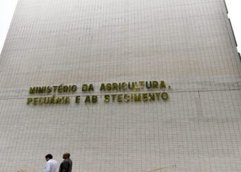 Concurso MAPA 2024: 857 Vagas, Saiba Como Se Preparar!
