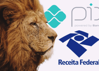 Imposto de Renda: Saiba Declarar Pix e CartГѓВµes! Maximize sua RestituiГѓВ§ГѓВЈo