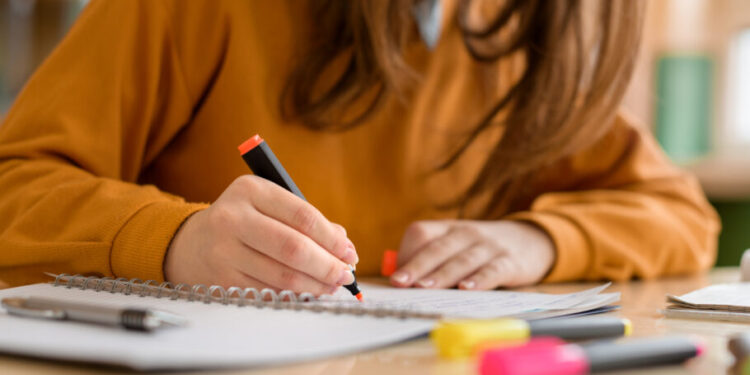 Concursos PГѓВєblicos 2024: Altos SalГѓВЎrios e Vagas Abertas!