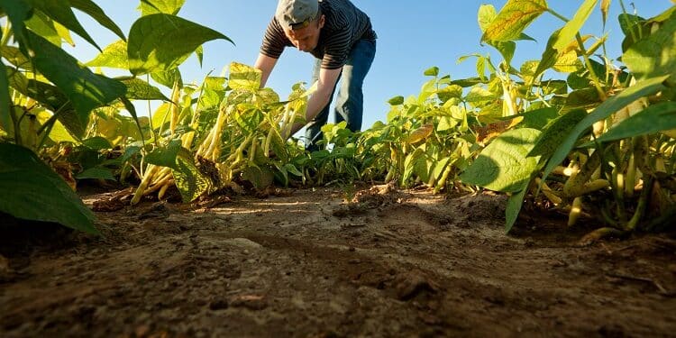 PrevisГѓВЈo do Tempo para Junho 2024: Chuvas e Calor Alertam Agricultores!