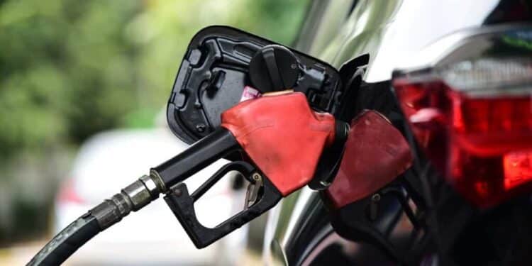 Reajuste da gasolina reforГѓВ§a percepГѓВ§ГѓВЈo de independГѓВЄncia da Petrobras; veja anГѓВЎlises