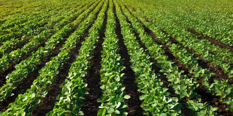 Impactos das MudanГѓВ§as ClimГѓВЎticas na Economia e Agricultura Global