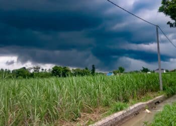 Alerta Climatico: Ciclone Extratropical Impacta a Agricultura e PecuГѓВЎria no Brasil!