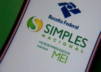 Evite Multas: Como Entregar a DASN-SIMEI do MEI em 2024!