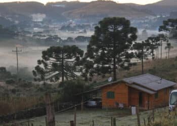 Alerta de frio intenso: massa de ar faz temperatura despencar no Sul; veja ГѓВЎreas
