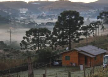 Alerta de frio intenso: massa de ar faz temperatura despencar no Sul; veja áreas