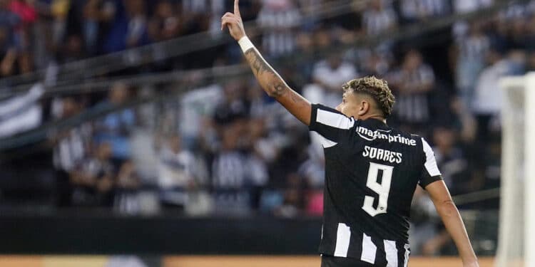 Botafogo VENCE o Palmeiras e ГѓВ© LГѓВЌDER do BrasileirГѓВЈo! Confira