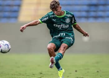 Palmeiras jГѓВЎ tem nova JOIA NA BASE? ConheГѓВ§a a nova estrela