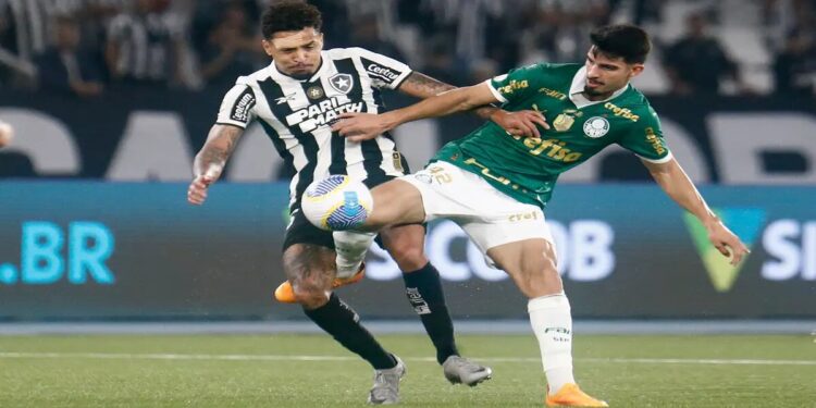 Botafogo x Palmeiras; Oitavas De Final Da Copa Libertadores, Veja Onde Assistir!