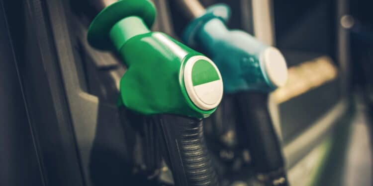 Créditos: depositphotos.com / welcomia