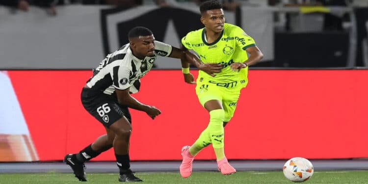Palmeiras x Botafogo: Quartas de Final da Libertadores 2024!